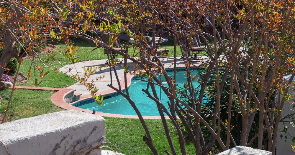 Refreshed poolside landscape with new plantings